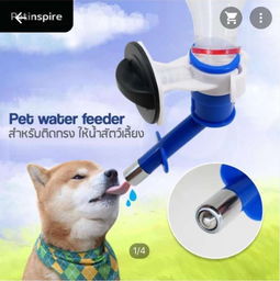 本周五采洽會來襲，泰國寵物衣架訂單引爆商機