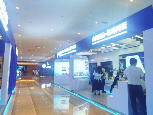 聚焦2025中國 東盟教育交流周 高科技展示 非遺展演,多彩展覽 動靜結合 好迷人